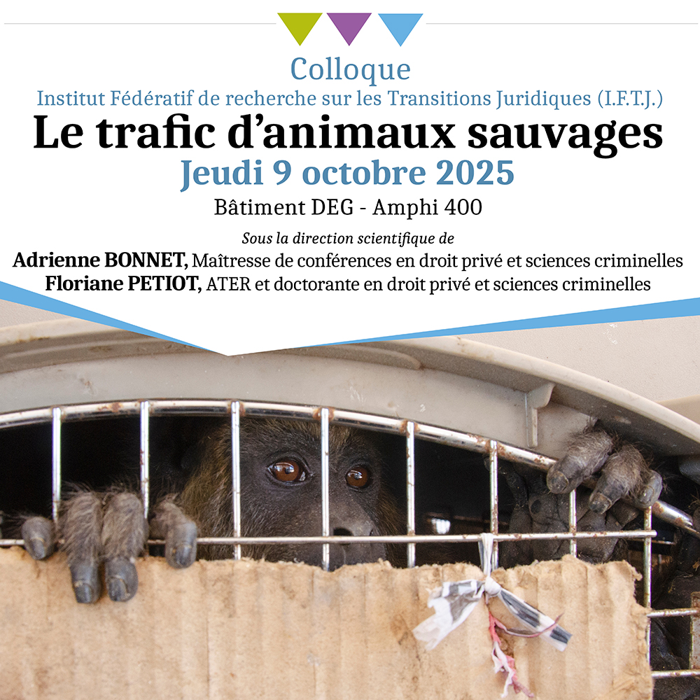 The European Institute for Animal Law & Policy tweet media