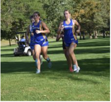 WindomEagles's tweet photo. Meet Day for Windom Eagle Cross Country! 🏃‍♀️🏃‍♂️ The Eagles race today at the Adrian-Ellsworth Dragon Invitational!
📍 Adrian Football Field
⏰ 4:00 JH Girls | 4:15 JH Boys | 4:30 Varsity Girls | 5:05 Varsity Boys
#GoEagles #EaglePride #WindomXC https://t.co/B8OtmmVGgW