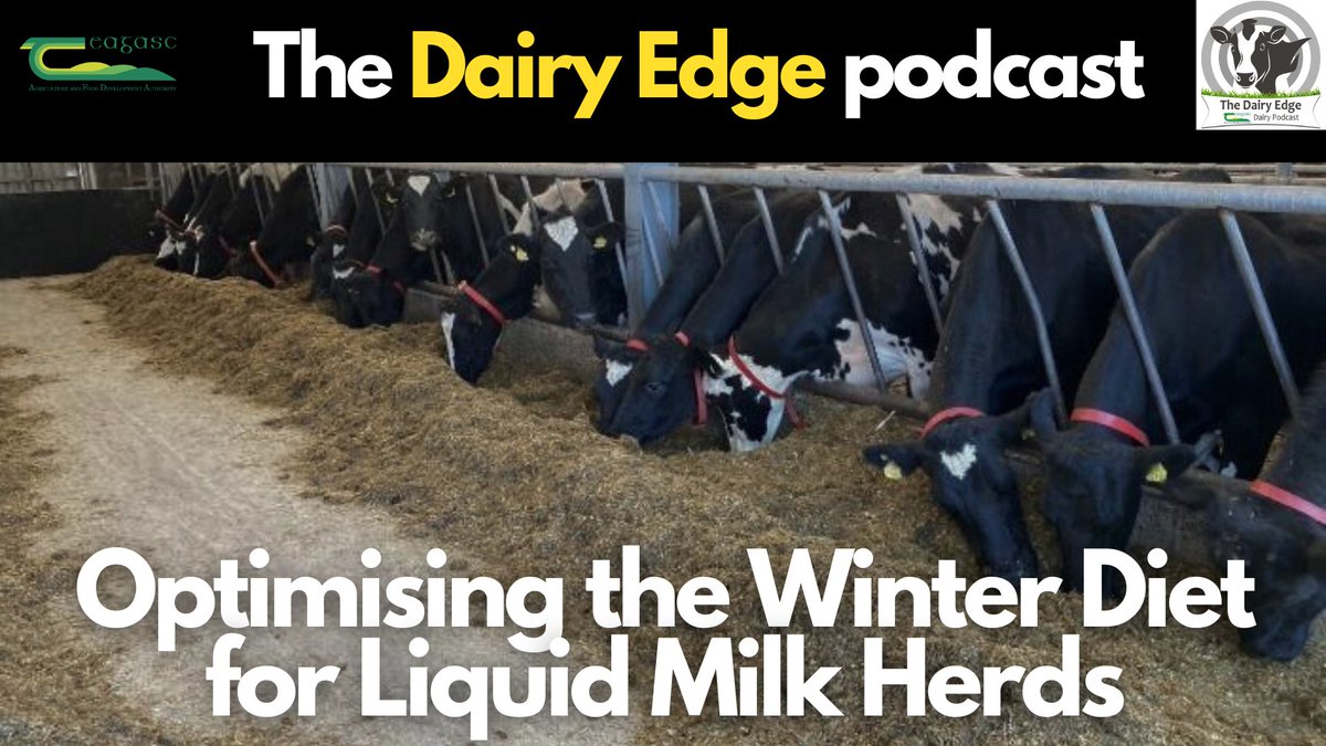 TeagascGrass10 (@teagascgrass10) on Twitter photo Mike Dineen @Teagasc Senior Research Officer joins James Dunne on this week's #DairyEdge podcast to discuss optimising the winter diet for liquid milk herds. Listen & follow on Apple/Spotify: pod.fo/e/338177 <a href="/TeagascDairy/">Teagasc Dairy</a> Mike Dineen @Teagasc Senior Research Officer joins James Dunne on this week's #DairyEdge podcast to discuss optimising the winter diet for liquid milk herds. Listen & follow on Apple/Spotify: pod.fo/e/338177 <a href="/TeagascDairy/">Teagasc Dairy</a>