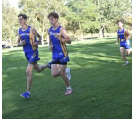 WindomEagles's tweet photo. Meet Day for Windom Eagle Cross Country! 🏃‍♀️🏃‍♂️ The Eagles race today at the Adrian-Ellsworth Dragon Invitational!
📍 Adrian Football Field
⏰ 4:00 JH Girls | 4:15 JH Boys | 4:30 Varsity Girls | 5:05 Varsity Boys
#GoEagles #EaglePride #WindomXC https://t.co/B8OtmmVGgW