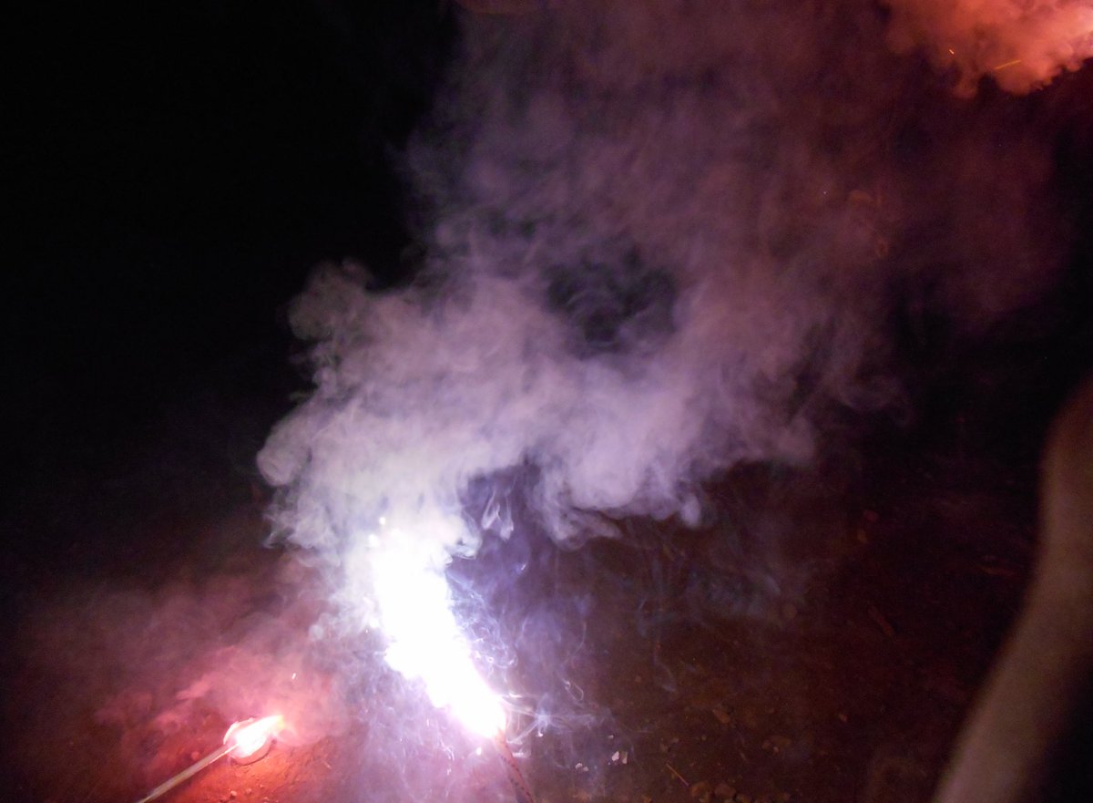 ひらづみオープンしました⟡.·

先日花火をして、最後の夏休みが完全に終わりました！プールに行ったりうさぎを触ったりと思い残すことはひとつも無い最高の夏休みでした♫

昨日も来たのでもう書くことがありませーん（ ;  ; ）
感覚がバグっていますが本日も元気に通常営業やってます！

(破壊)