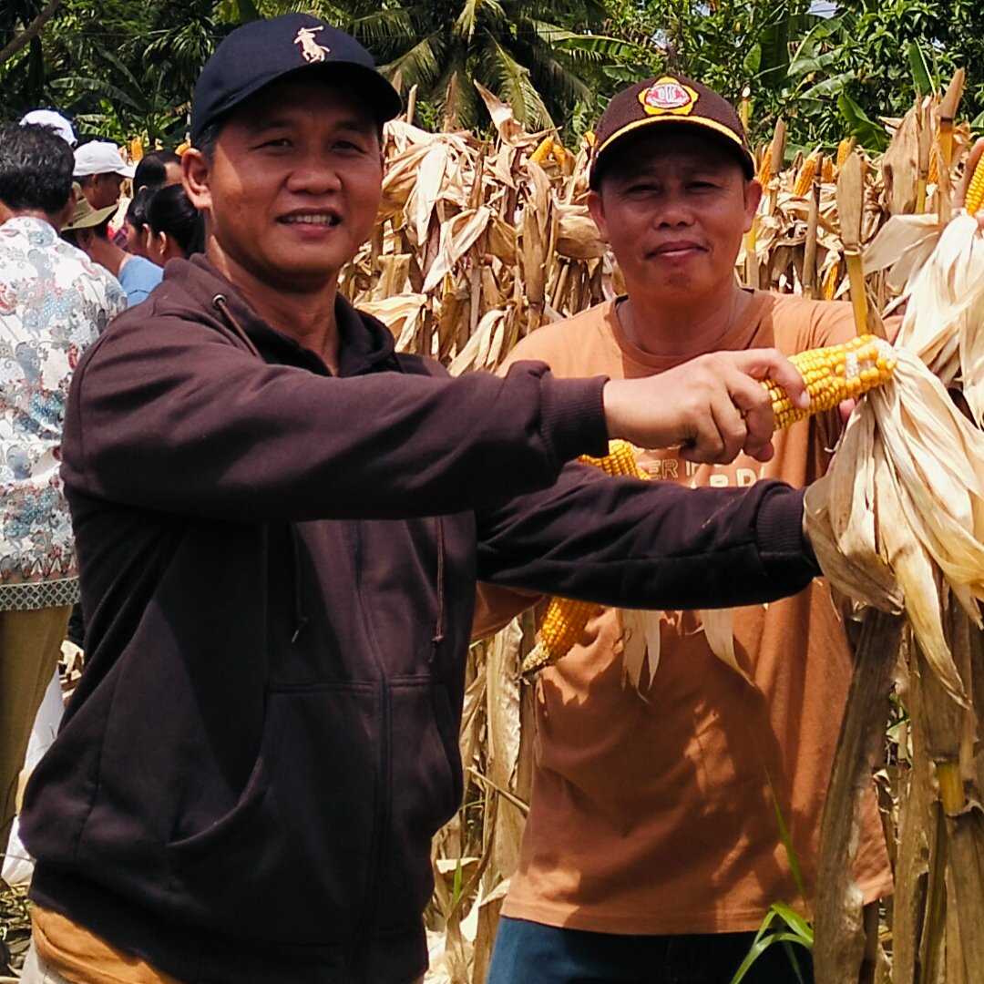 augustrielman's tweet image. Selamat Hari Bhakti Pendamping Desa Tahun 2025
#kemendes