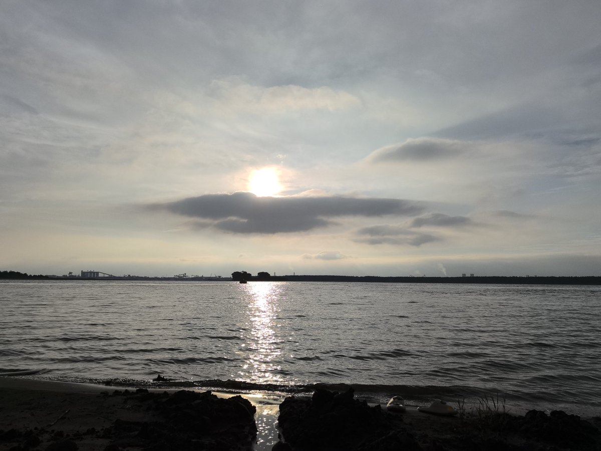 十五的月亮十六圆，十六的月饼一块钱