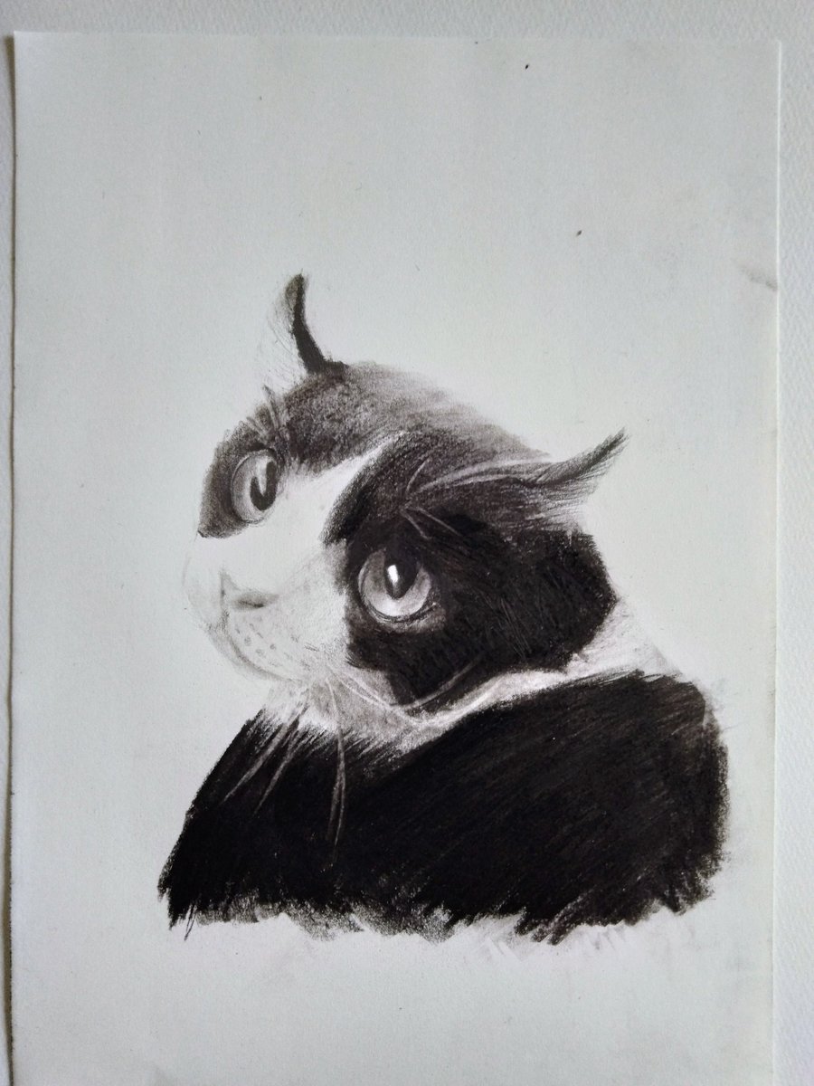 #チャコールペンシル　#モノクロ　#ねこ　#虹の橋
またにゃ