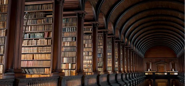 RosannaAnargie's tweet image. La Trinity College Library è meravigliosa 

#TrinityCollegeLibrary