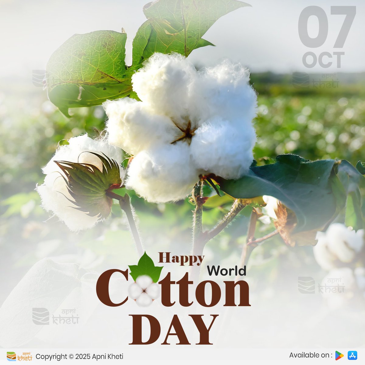 apnikheti's tweet image. विश्व कपास दिवस पर सलाम उन मेहनती किसानों को, जो हर धागे में मेहनत और उम्मीद बुनते हैं!
.
.
#worldcottonday #cottonfarmers #whitegold #cottonfarming #farmersupport #apnikhetii #Apnikhetiapp #foreverforfarmers
