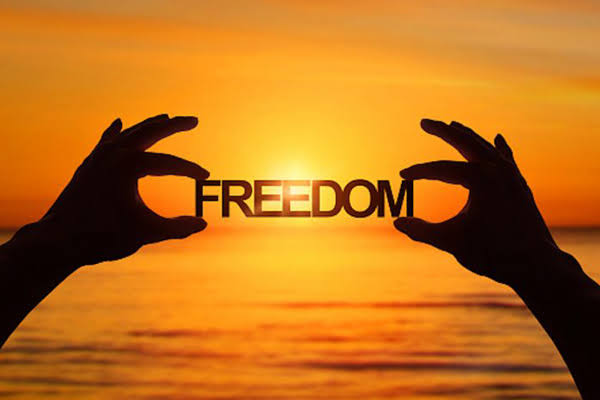 Web_3_Creator's tweet image. Gm ct
Keep grinding for financial freedom
Don't loose focus
Don't give up
Consistency matters
If you see this message drop a Gm