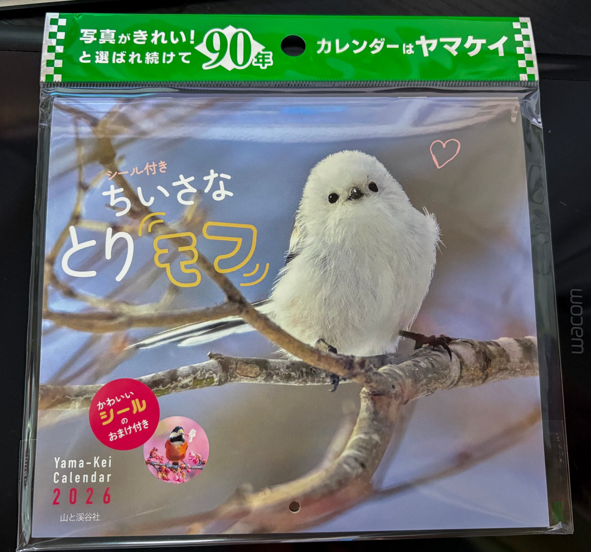 小堀 文彦 Fumihiko Kobori 🦋 on X: 