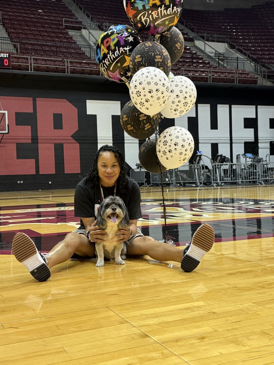 dawnstaley tweet media