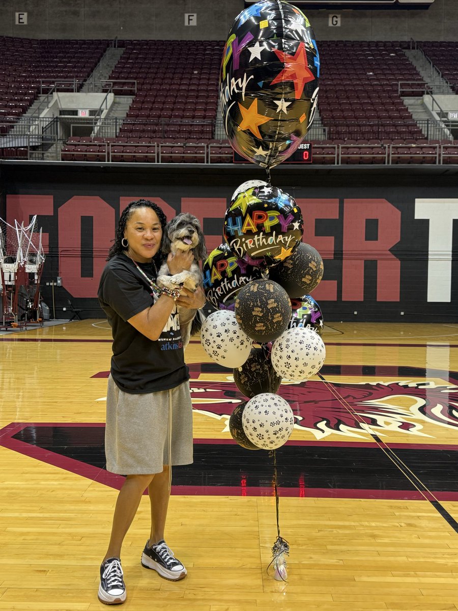 dawnstaley tweet media