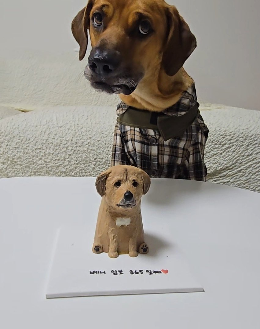 저 순진무구한 눈빛을 보세요🩷