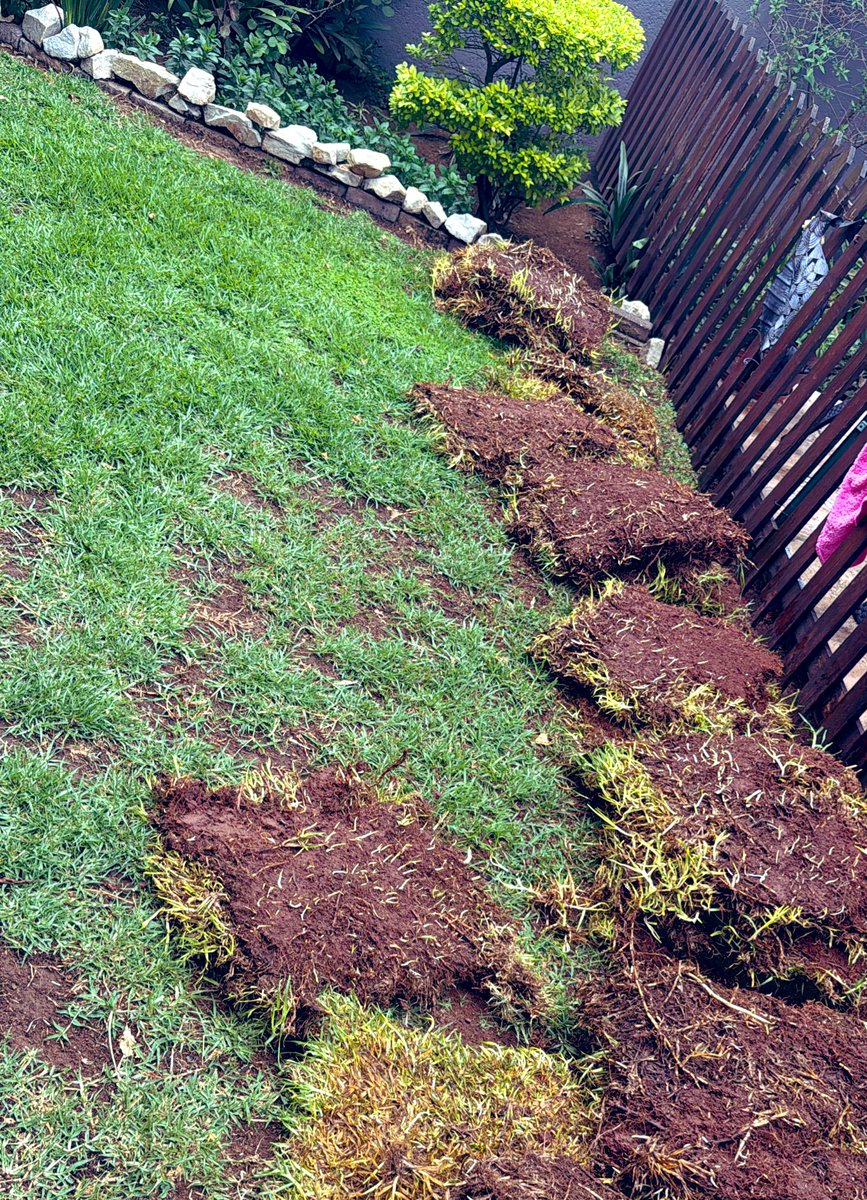 Am now we find ourselves here 😂