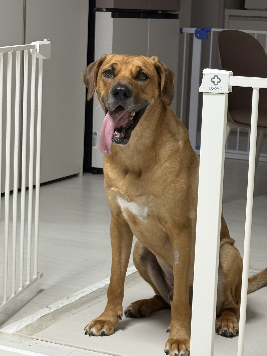 추석 송편도 야무지게 해치웠어요! 💋