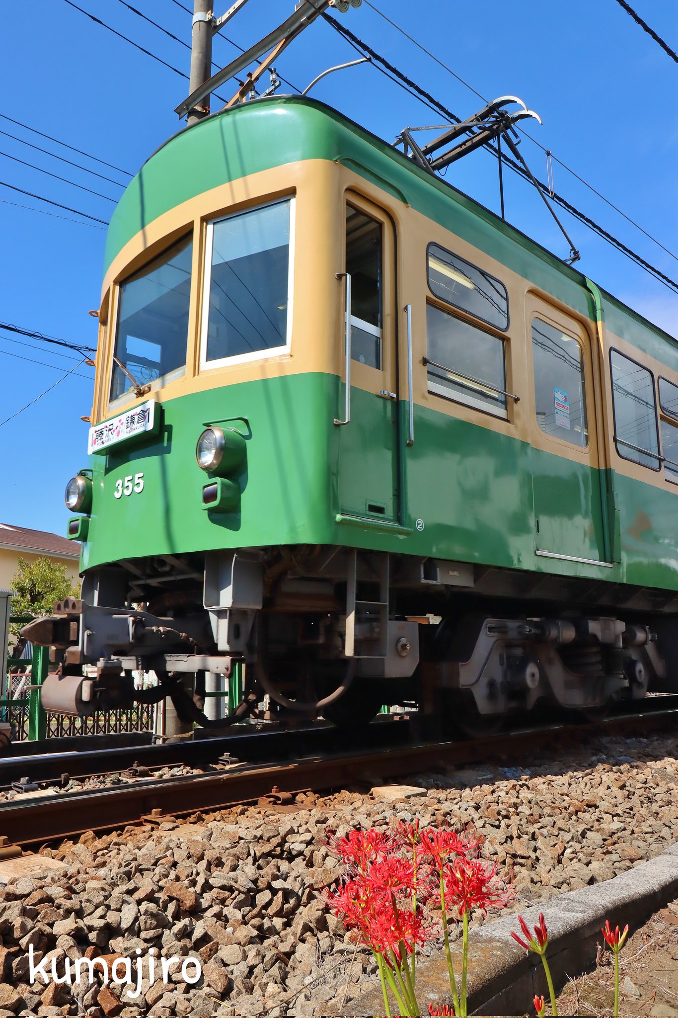 K♦1095 momo1234 　九州送料込み くまジロー on X: 