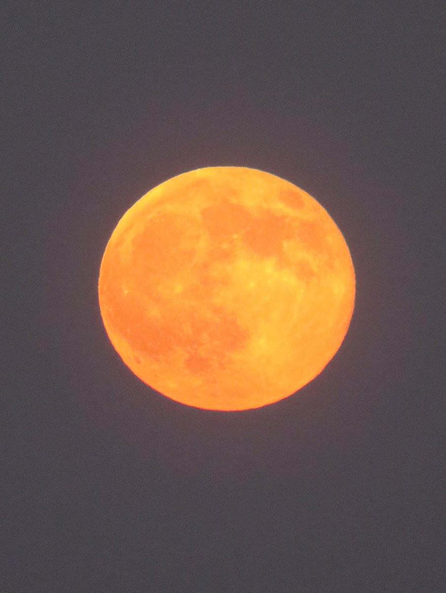 perry様フェニックスストーン月♡moon♡クリソコラNo.1709 perry様フェニックスストーン月♡moon♡クリソコラNo.1709