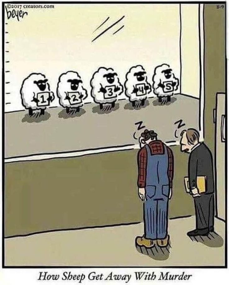 LeeIem28344's tweet image. Which one do you think 😂😂

#comedy
#funny
#humor
#tuesdayvibe 
#Goodnoon
#love