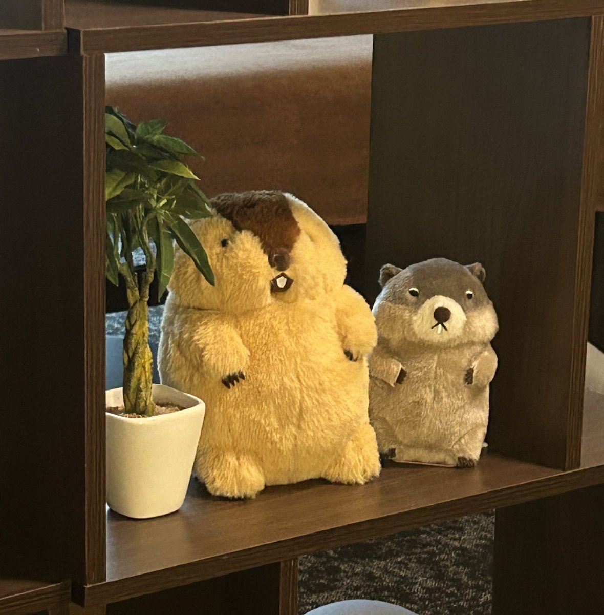 心がざわついたり
疲れたり イライラしちゃったり
そんな自分に自己嫌悪しちゃったり…

そんな時は私は全部
季節のせいにしちゃいます🙌笑

夏だしな〜
季節の変わり目だしな〜

口にしたら意外と気持ちも軽くなる☺️✨