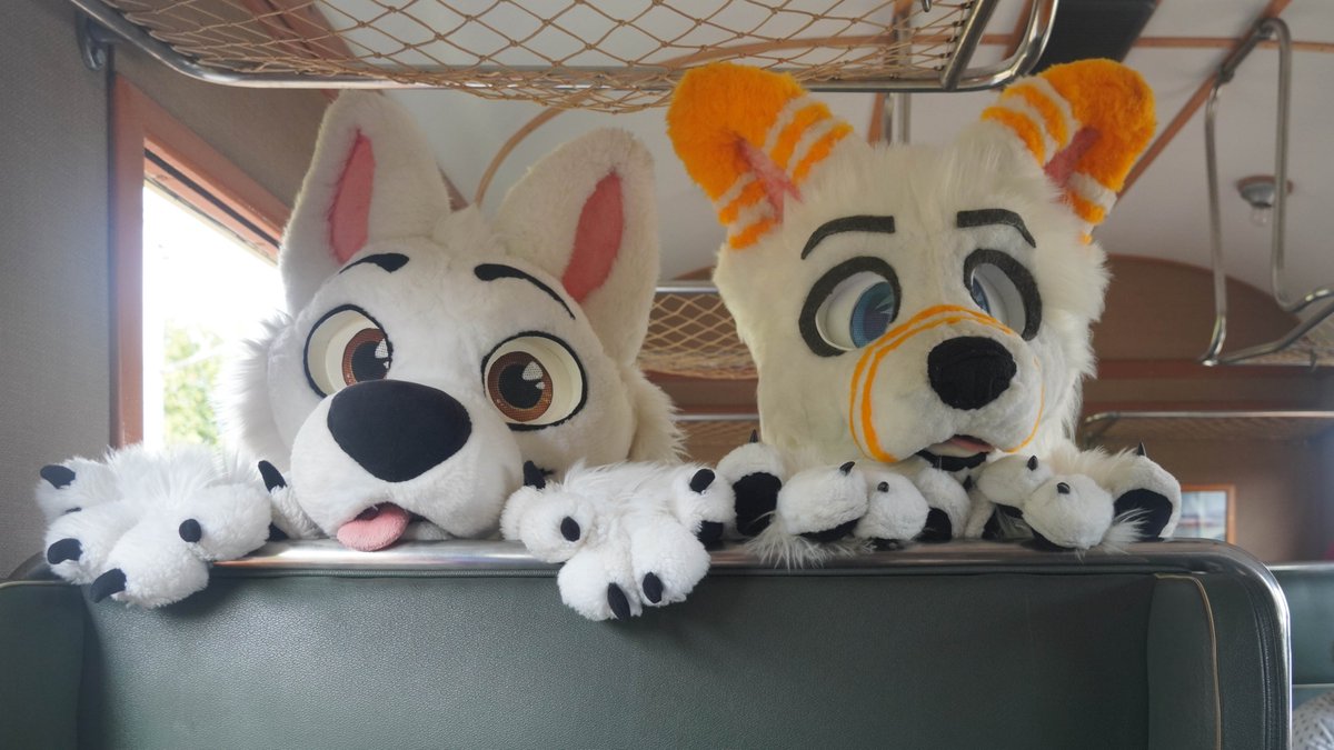 Train doggies 🚂🐶🐶🚂

⬅️ Bolt
➡️ Blizzard

📸 Ondřej Chroust