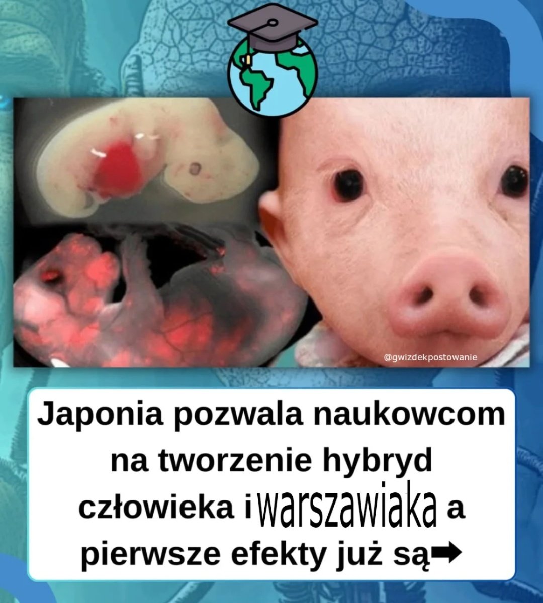natalka tweet media