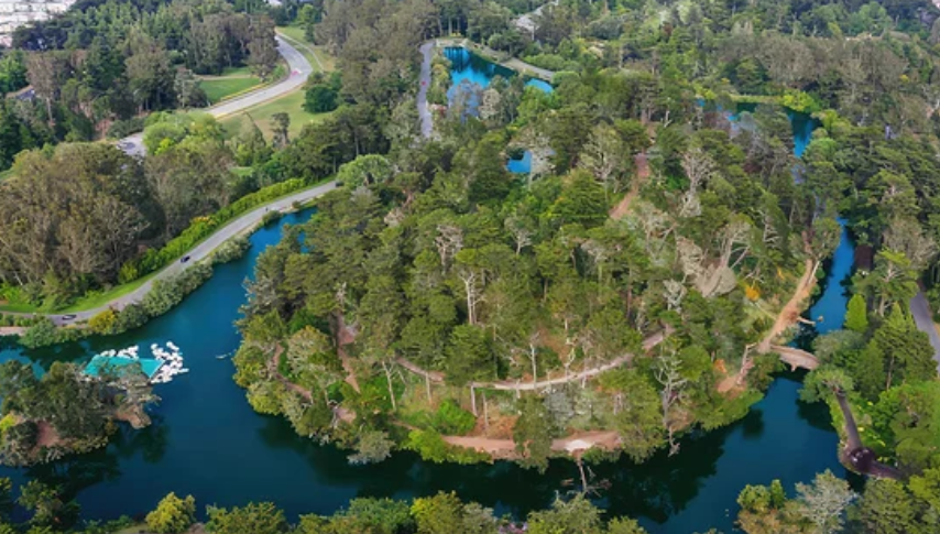 BCardno's tweet photo. #poetrycommunity #writingcommunity 

A Doughnut-Shaped Lake 

One 
can 
go 
for 
a 
rowboat 
ride 
to
glide
around 
a 
doughnut-shaped 
Blue 
Heron 
Lake 
in
San
Francisco's
Golden 
Gate 
Park 
to 
escape 
into 
an 
oasis 
of
serenity,
bask 
in 
the 
vivid 
sights
of
nature, https://t.co/yk6IiJQebO