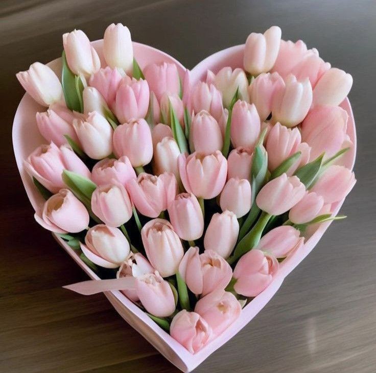 Only Tulips tweet media