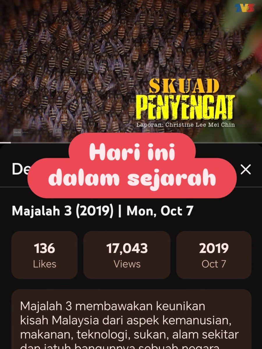 penyelamatlebah's tweet photo. 7 Oktober 2019, enam tahun yang lalu kami pernah masuk dalam Majalah 3, @tv3malaysia  siaran penuh satu jam.

Tonton semula di channel YT TV3, cari "MY Bee Savior Majalah 3"

Jom bersama kami selamatkan lebah. #mybeesavior #penyelamatlebah #selamatkanlebah #savethebees https://t.co/qdq0fW54qG