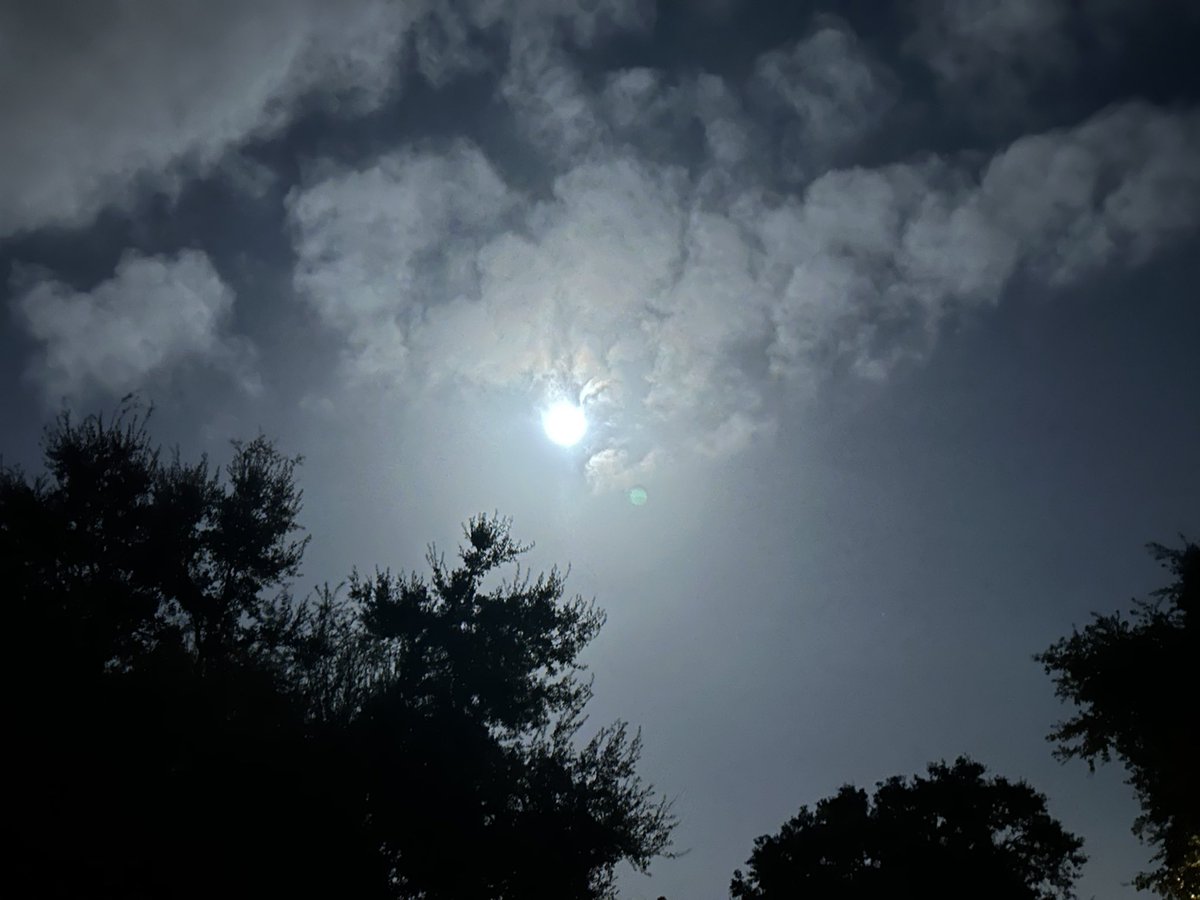 Out in the garden, the moon seemed very bright.