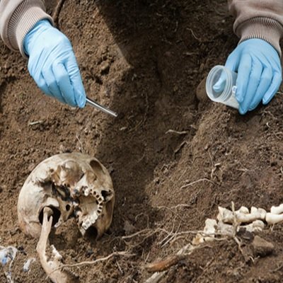 YusufOyow's tweet image. In many developing countries, #ForensicEntomology’s role in law &amp;amp; security remains limited. Yet, it holds huge potential for justice through insect-based evidence. How can nations with weaker legal systems build capacity, awareness &amp;amp; training in this vital field?
#ForensicEntomo