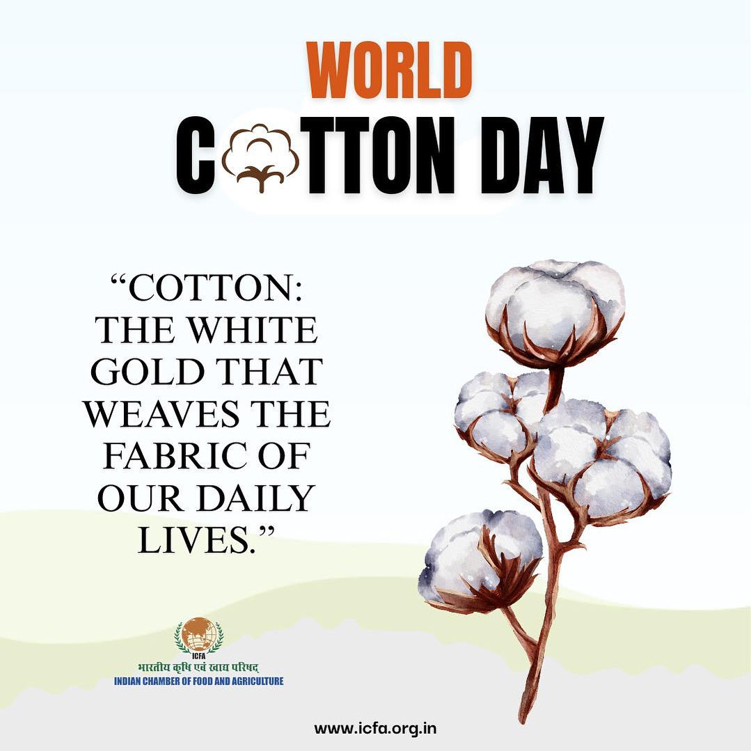 ICFAgri's tweet image. 🌿 World Cotton Day 2025 🌿 Celebrating cotton — the white gold that weaves comfort, livelihood, and sustainability across the world.
Let’s honor the hands that cultivate comfort and connection — thread by thread.
#WorldCottonDay #ICFA #WhiteGold #CottonFarming