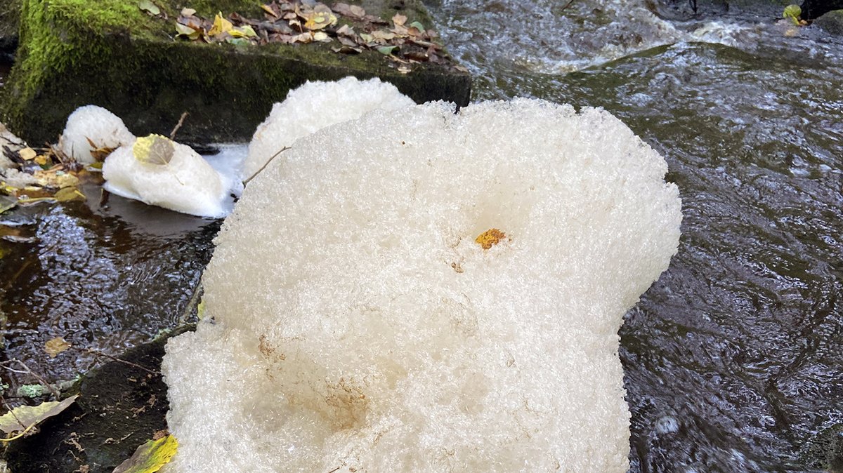 Sisä-Suomen elinvoimakeskus tweet media