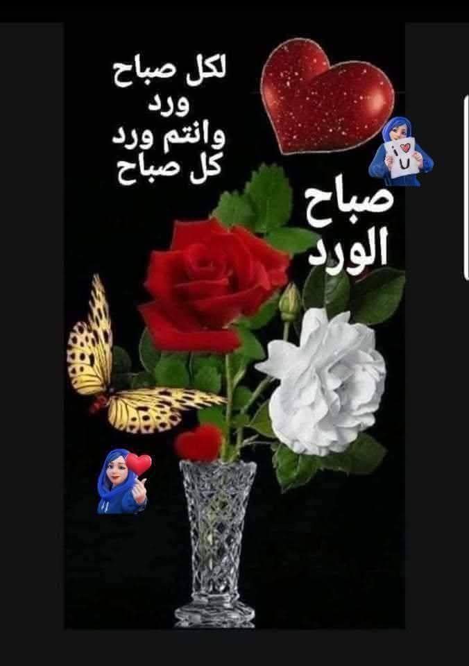 *"#رسالة_اليوم*💌🌸
*"تذكر دائمًا أن الخيارات لا متناهية، وأنك لست محدودًا بفرصةٍ واحدة أو بمستقبلٍ معين، تذكر دائمًا أن في الحياة رحابة وأن الآفاق واسعة، وأن الدنيا أكبر من أن تتمسك بشيءٍ ظنًا منك أنه قد لا يتكرر."*🌸🌹♥️💪🤲