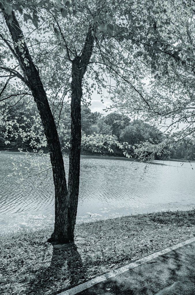 billiesucher's tweet image. "Integrity is telling myself the truth. And honesty is telling the truth to other people." — Spencer Johnson
#life #work #jobsearch