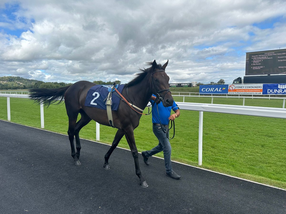 Katalyst is 𝐁𝐀𝐂𝐊 𝐈𝐍 𝐀𝐂𝐓𝐈𝐎𝐍 at <a href="/Southwell_Races/">Southwell Racecourse</a> today in the 5:28 🐎🔵

Best of luck to Edward Greatrex, <a href="/Muir_Grassick/">Muir & Grassick Racing</a> and our 10 lucky Owners For the Day!