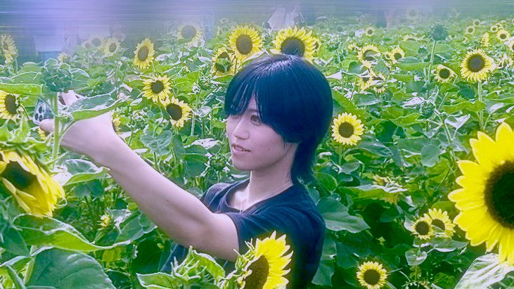 ひ゛ま゛わ゛り゛は゛た゛け゛‼️

もうすっかり秋ですけど🌻
向日葵に囲まれる夢が叶った夏なので🌻
大遅刻で載せます🌻

写真見たそこの貴方。

意外と腕ゴツイんだなって思っただろう。