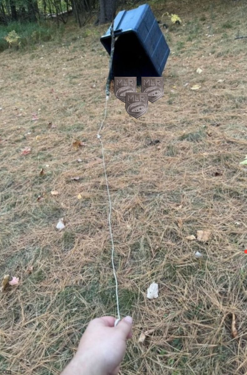 This would catch a lot of you. 
🏉🐎🇺🇸🇺🇸🇺🇸🛡🛡🛡#HHUZZAH