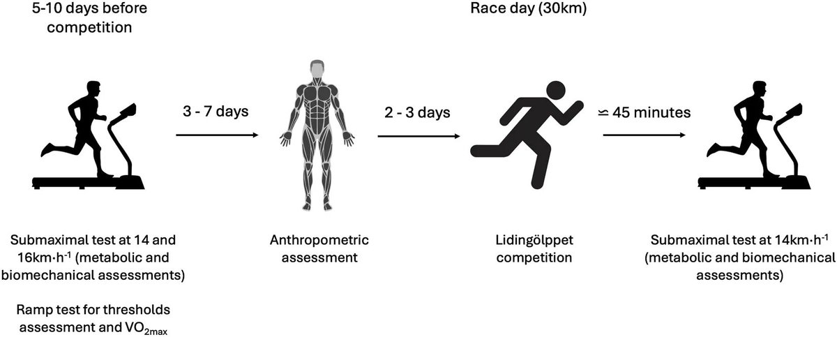 Daniele Cardinale | PhD tweet media