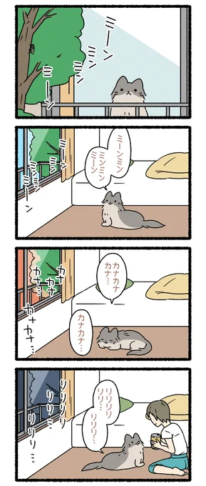 ねこようかい やまびこ その7 