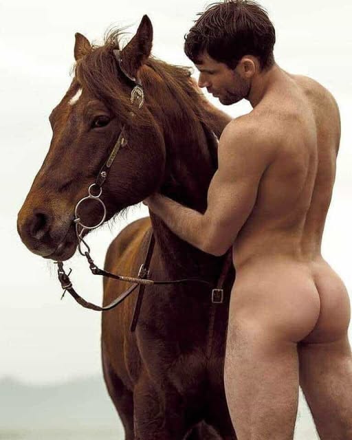 When the horse is thinking you should put your pants on because you're embarrassing yourself with that little dick