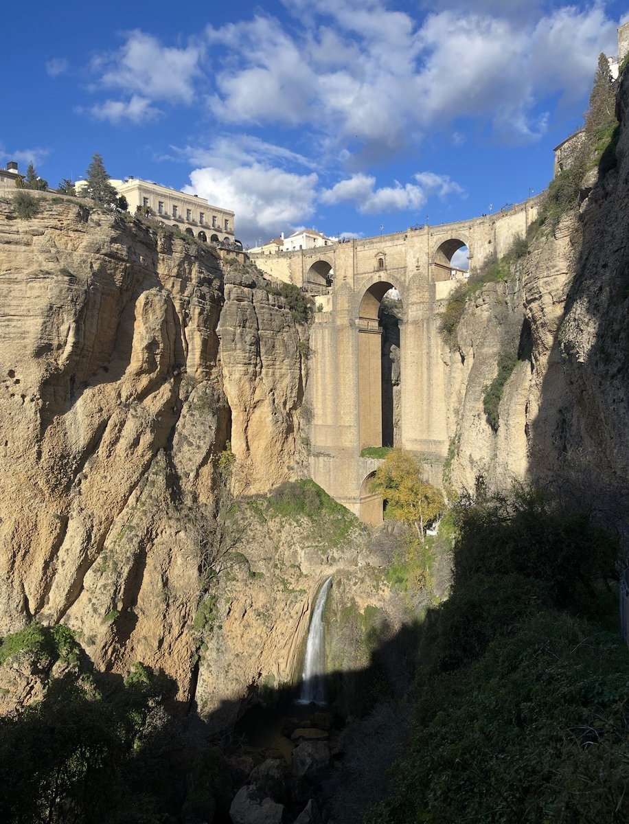 아이보리🔥 tweet media