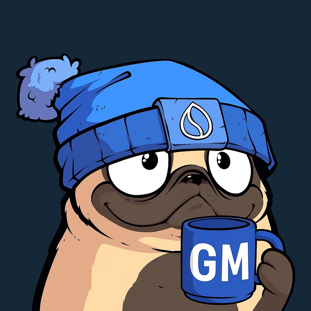 gm to everyone who is puggish on $sui