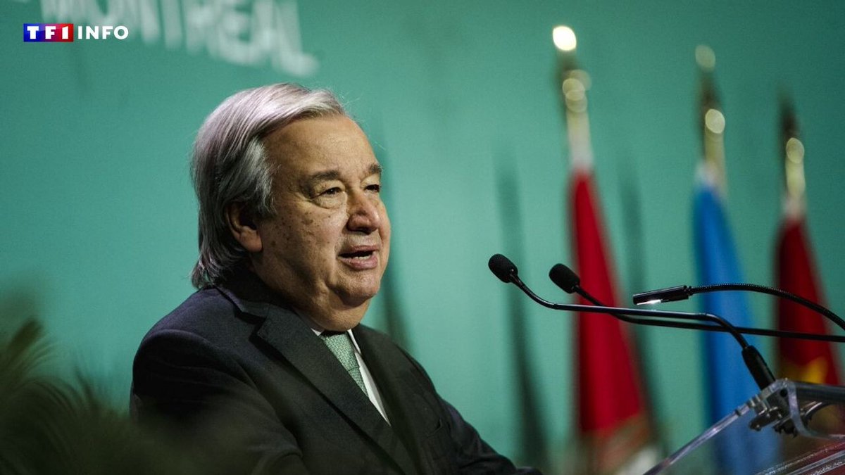 EN DIRECT - Gaza : "Libérez les otages, sans condition et immédiatement", lance Guterres au Hamas
➡️ l.tf1info.fr/568