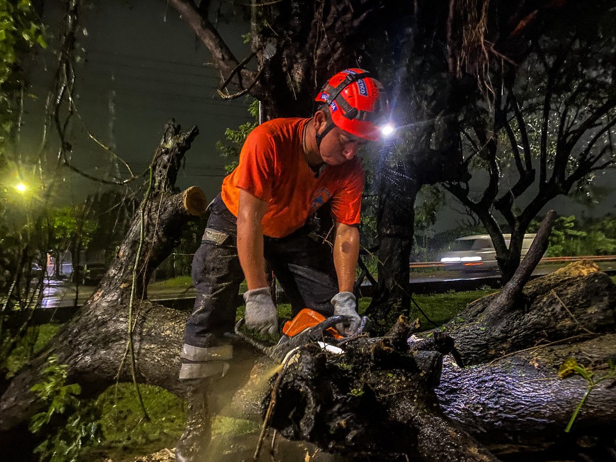 PROCIVILSV's tweet photo. ⚠️ Nuestro #EquipoTácticoOperativo realizó la remoción de un árbol caído debido a las lluvias de las últimas horas.

📍Kilómetro 12 ½, carretera a Comalapa, San Salvador Centro.

#PlanInvierno2025 https://t.co/komLKuCsSC