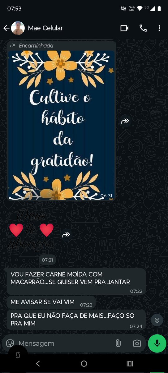 "Mãe, tô com saudades da sua comida, rola uma jantinha quando eu for aí fazer o que vc me pediu?"