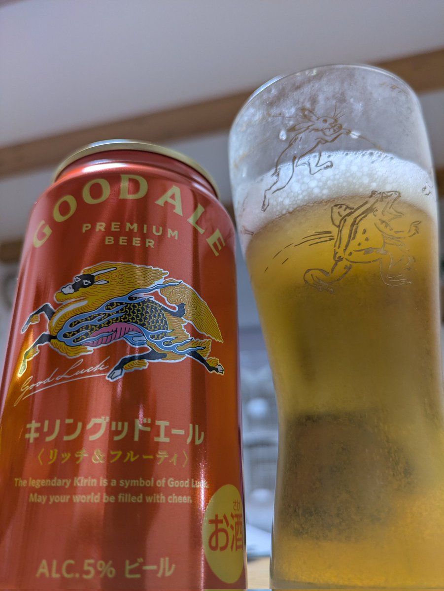 本日コスモスにて（偶然）保護