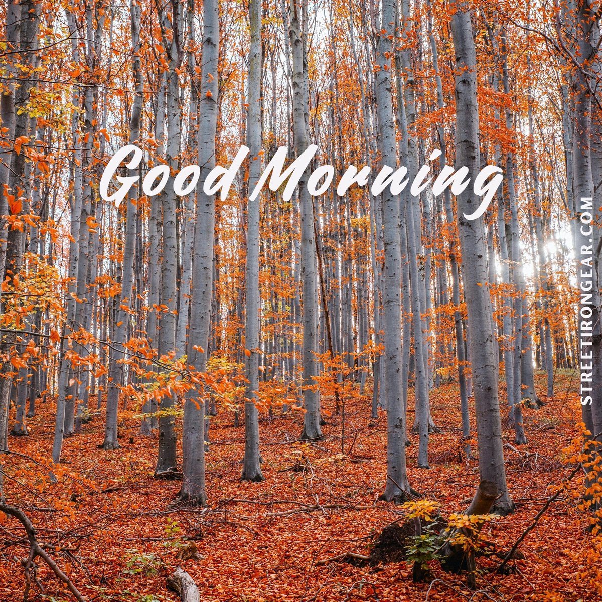 StreetIronGear's tweet photo. Rise and shine! Wishing you a day full of sweater weather and warm moments.

#StreetIronGear #GoodMorning #FallFashion #SweaterWeather #Autumn #NewDay #PositiveVibes #HelloOctober https://t.co/fCrhG0GcJS