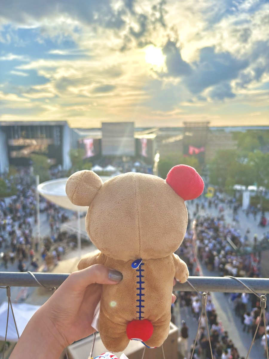 くまこさん専用 くまこさん🐻🍓 (@kumakosan_Rila) / Posts / X