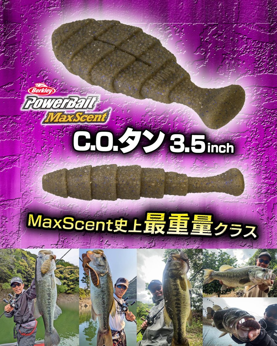 BRUNT squid l タンカラー BRUNT squid l タンカラー LureNewsR ルアーニュースアール on X