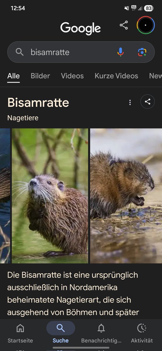 Vaterbear's tweet photo. @MissSchugge Das ist es auch nicht oder? https://t.co/rhNHgAKWuI