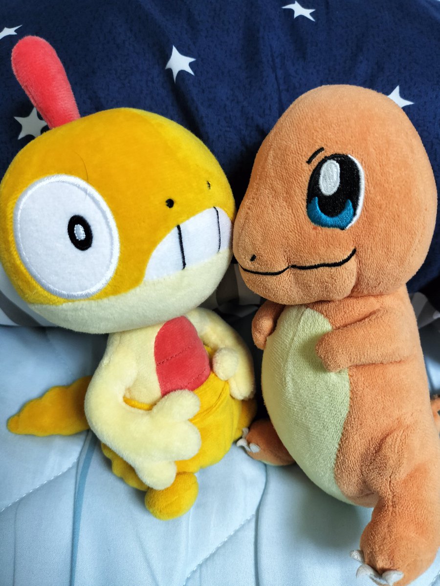 ヒトカゲとズルックが遊んでる。

可愛いね！！

#ポケぬい 
#ぬい撮り
#ポケモン