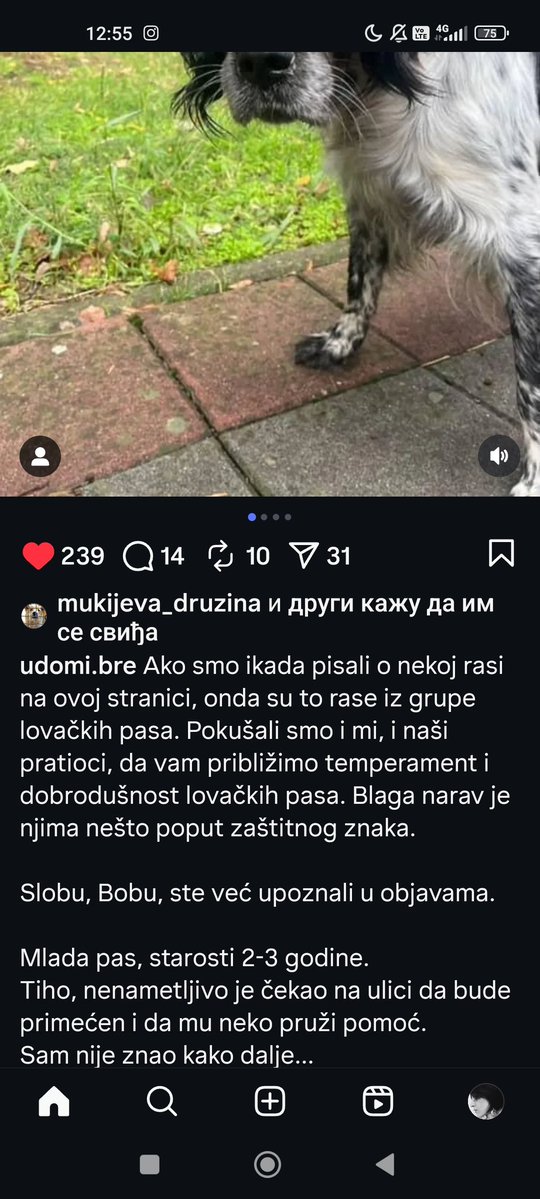 sanjazivi tweet picture